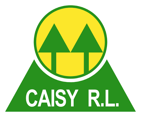 CAISY